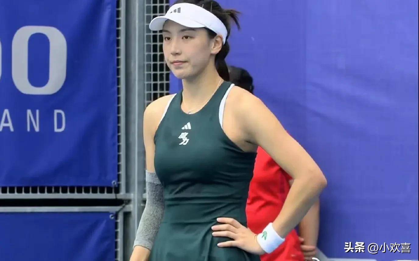 不仅提供了 不仅提供了